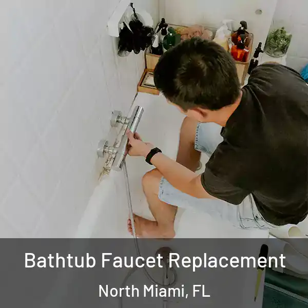  Bathtub Faucet Replacement North Miami, FL