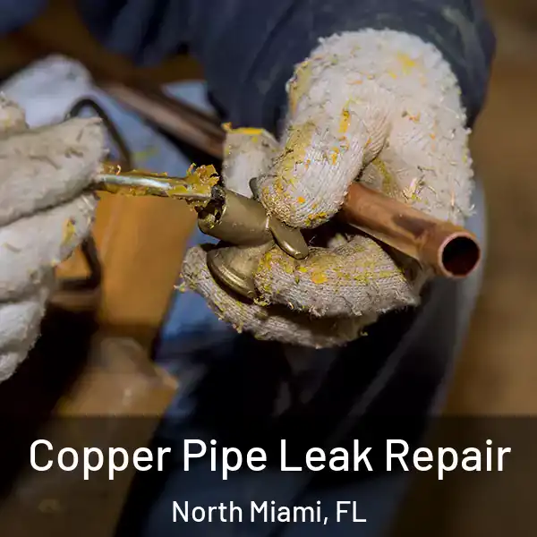  Copper Pipe Leak Repair North Miami, FL