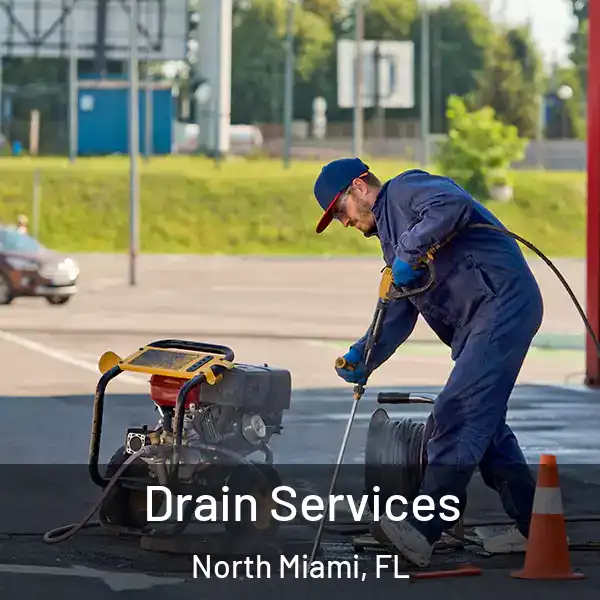  Drain Services North Miami, FL