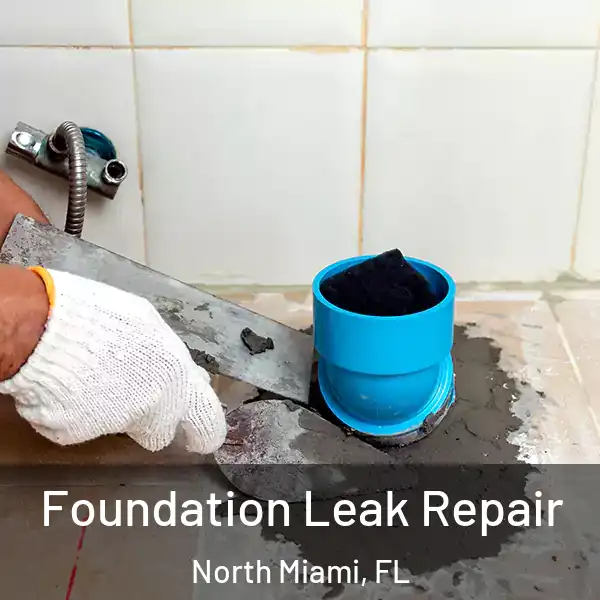  Foundation Leak Repair North Miami, FL