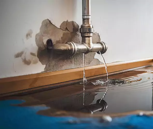 Professional Water Damage Restoration Experts in North Miami, FL — Fast, Reliable & Certified