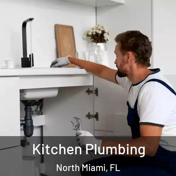  Kitchen Plumbing North Miami, FL