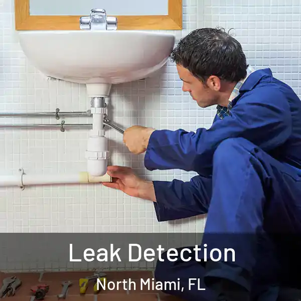  Leak Detection North Miami, FL