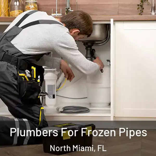  Plumbers For Frozen Pipes North Miami, FL