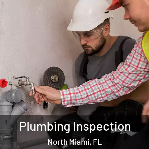  Plumbing Inspection North Miami, FL