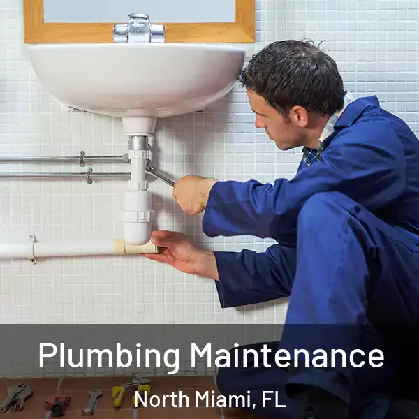  Plumbing Maintenance North Miami, FL
