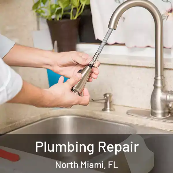  Plumbing Repair North Miami, FL