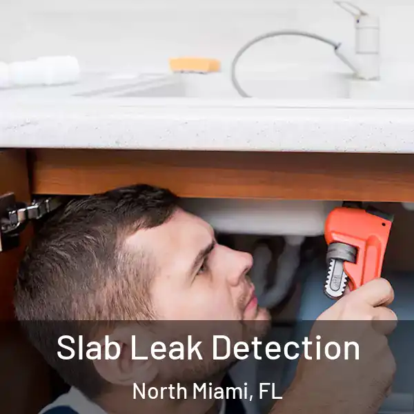  Slab Leak Detection North Miami, FL
