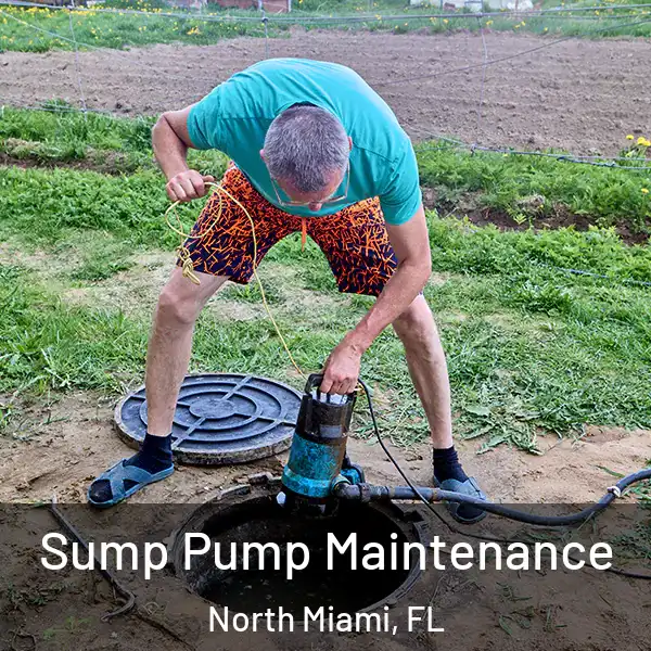  Sump Pump Maintenance North Miami, FL