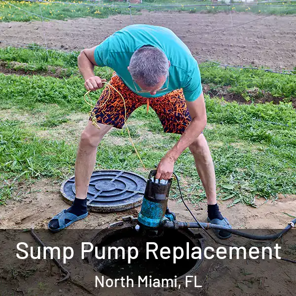  Sump Pump Replacement North Miami, FL
