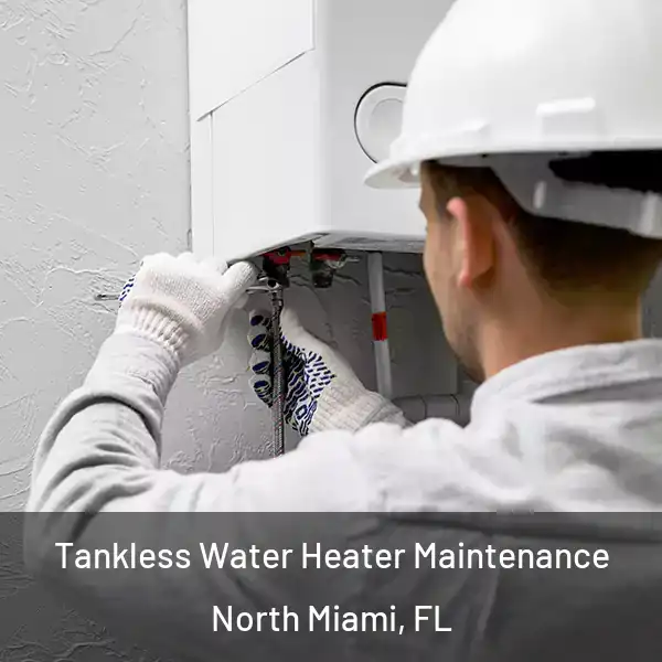  Tankless Water Heater Maintenance North Miami, FL