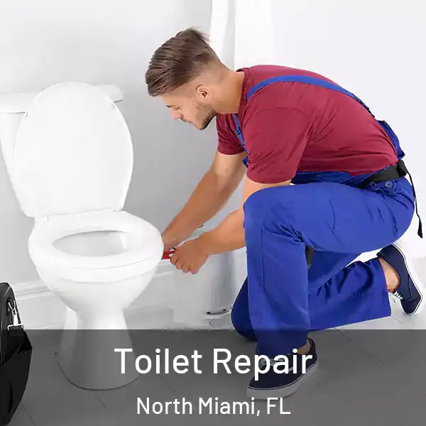  Toilet Repair North Miami, FL
