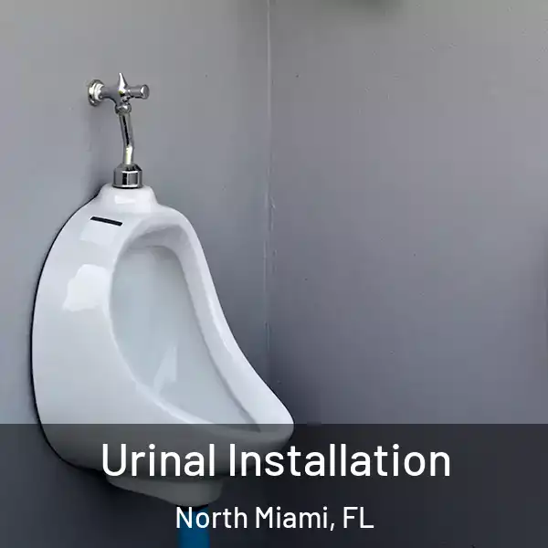  Urinal Installation North Miami, FL