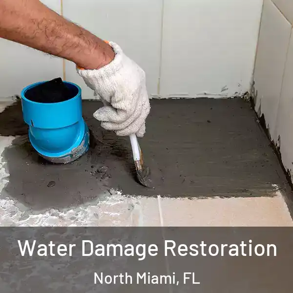  Water Damage Restoration North Miami, FL