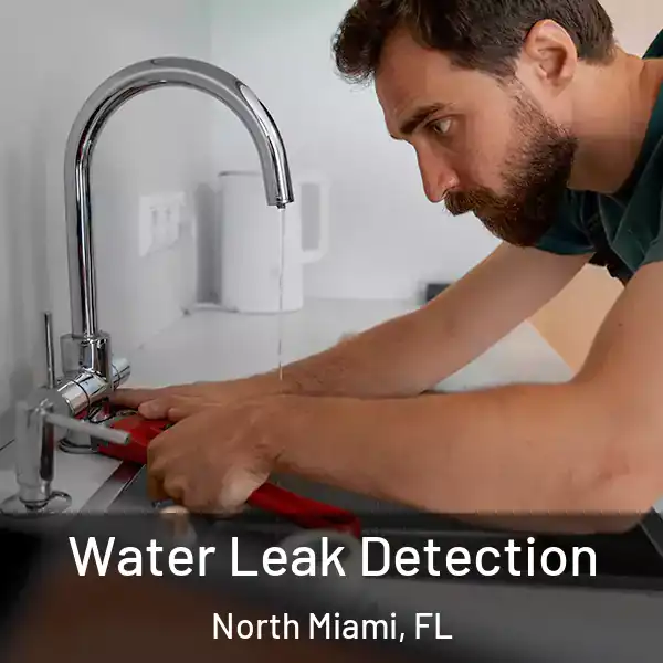  Water Leak Detection North Miami, FL
